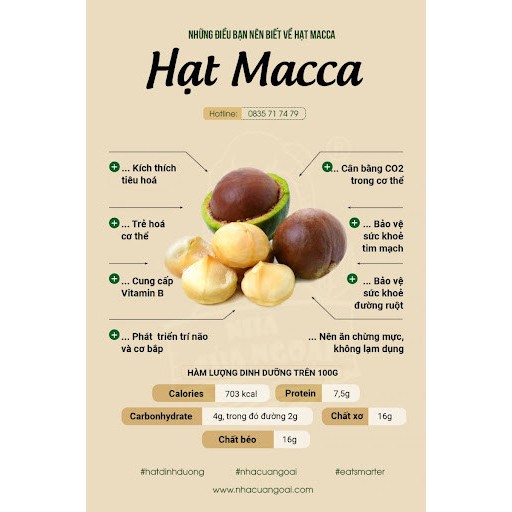 Hạt macca nứt vỏ organic,hạt to, đều chất lượng chuẩn tự nhiên thơm ngon Lodaz ăn vặt vừa ngon vừa rẻ Hà Nội