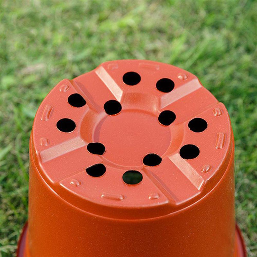 Set 10 Chậu Hoa Mini Hai Tông Màu Xinh Xắn