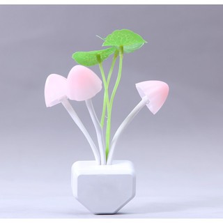 ĐÈN NGỦ CẢM ỨNG NGÀY TẮT TỐI BÂT HÌNH NẤM[ GIÁ CHUẨN SHOPEE ]