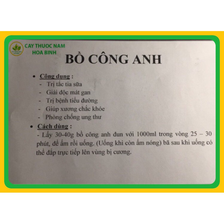 [GIÁ BÁN BUÔN] 100g Lá bồ công anh (cam kết khô, sạch, mới) | BigBuy360 - bigbuy360.vn