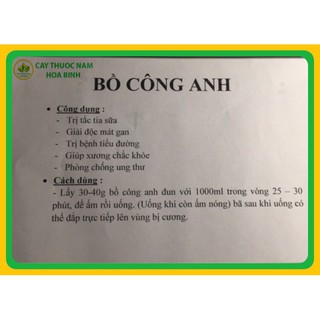 [GIÁ BÁN BUÔN] 100g Lá bồ công anh (cam kết khô, sạch, mới)