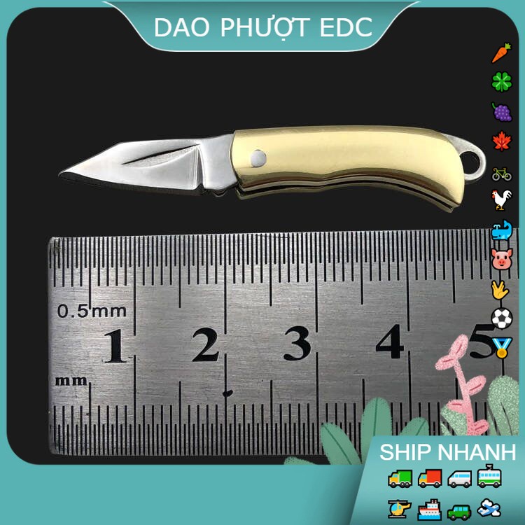Dao Nhỏ Trơn INOX - Lưỡi Dao Săc Bén Cắt Trái Cây