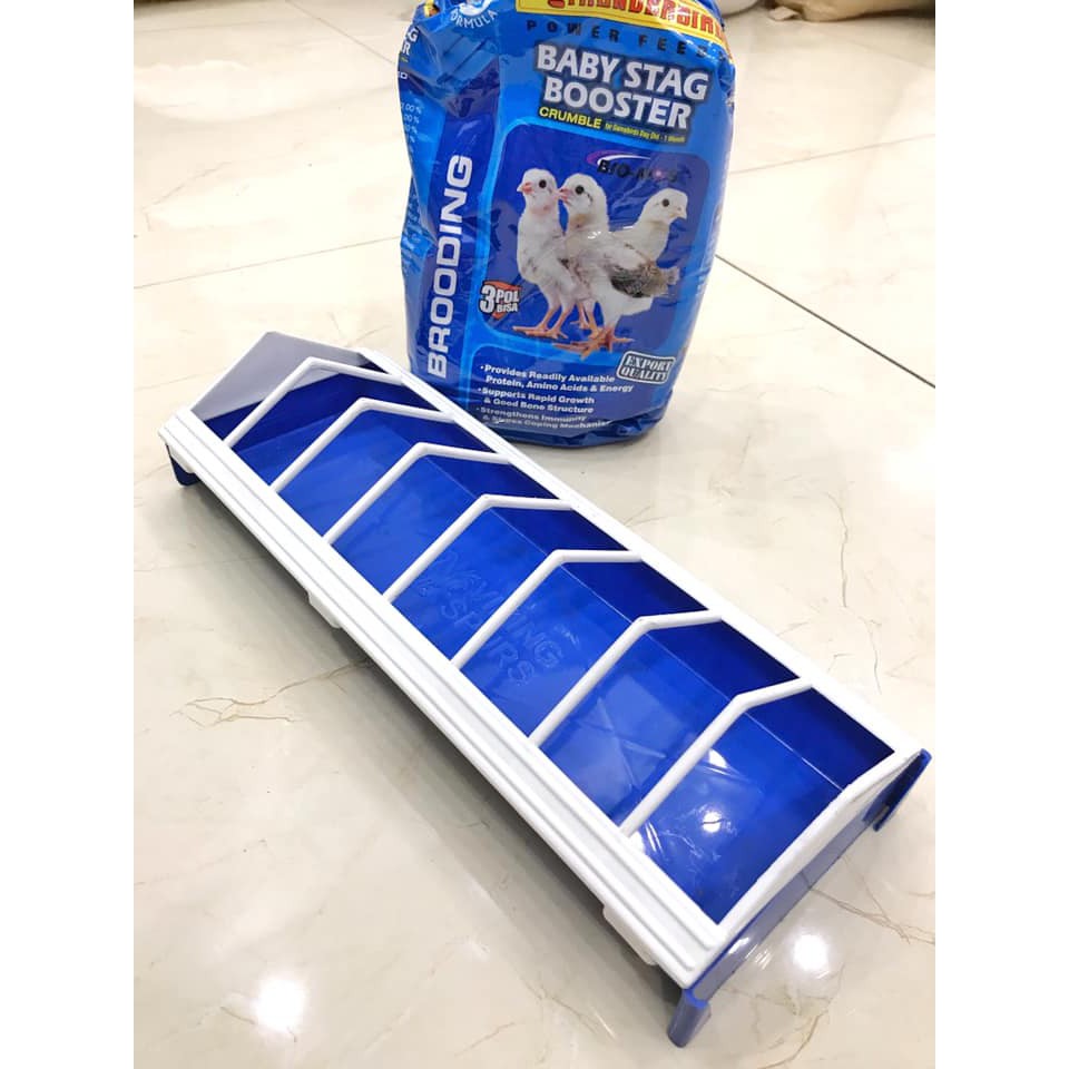 Máng ăn dành cho gà con (1 cái) - Pet Food Store.
