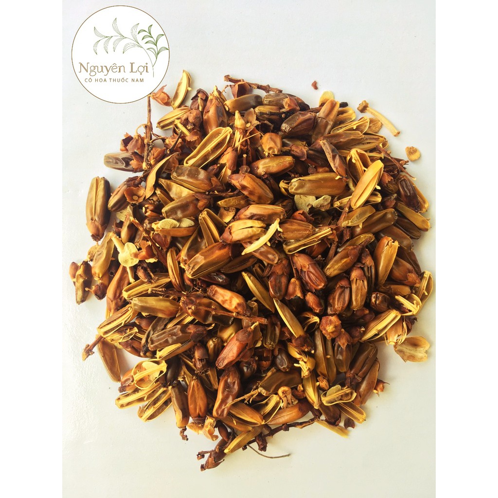 Trái Ô Rô Nước - Kiên Giang