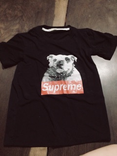 Áo supreme chó bug