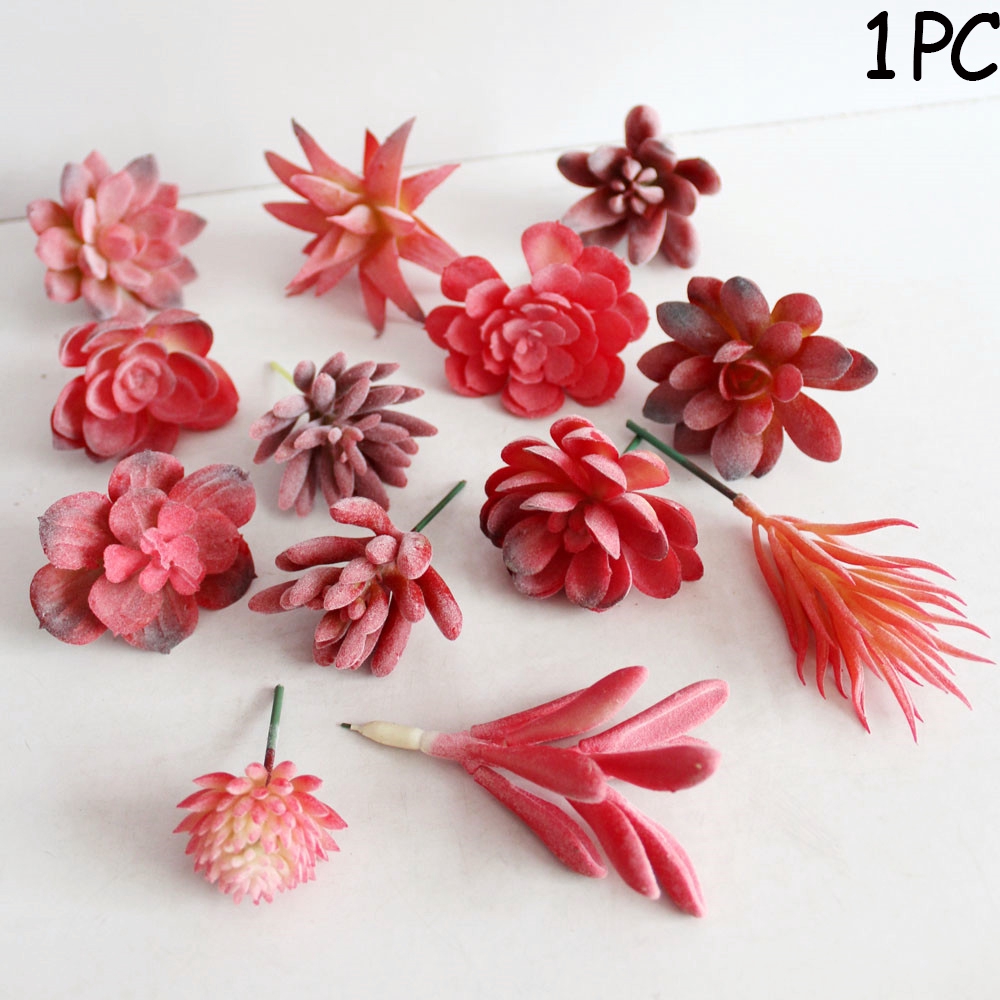 Chậu cây cảnh treo tường trang trí