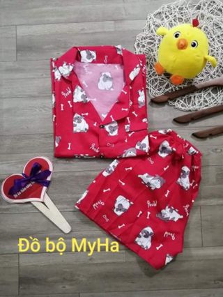 Sét bộ pijama ( mẫu ngẫu nhiên )