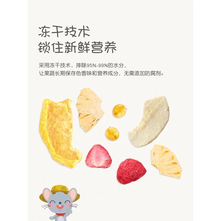 Thức Ăn Cho Chinchilla Kèm Trái Cây 1kg - AE103