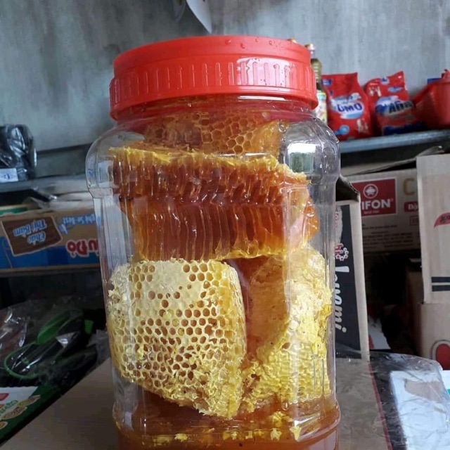 Mật ong rừng Đăk Lăk
