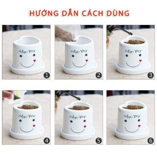 Chậu trồng cây mini