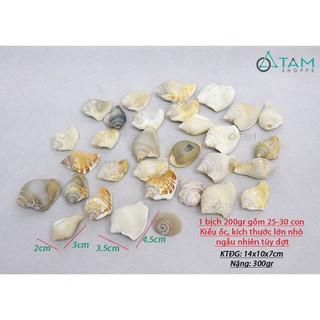 Bịch 200gr vỏ ốc biển trang trí VOOC-03