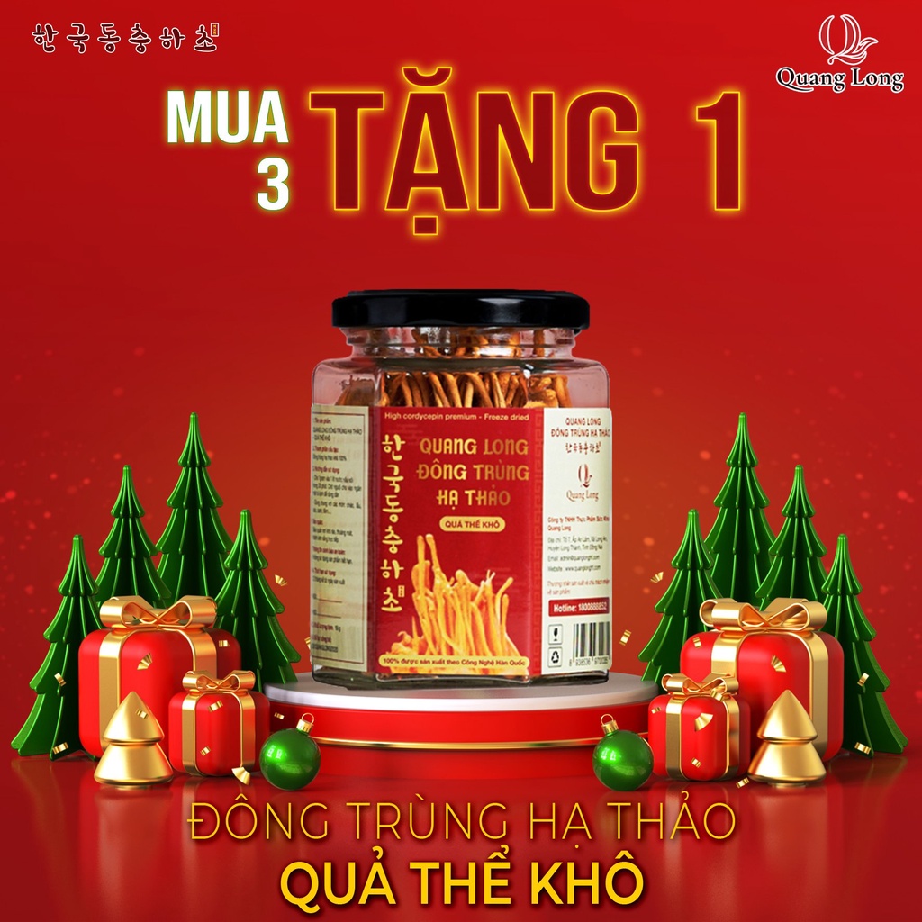ĐÔNG TRÙNG HẠ THẢO QUANG LONG QUẢ THỂ KHÔ 10G. MUA 3 TẶNG 1
