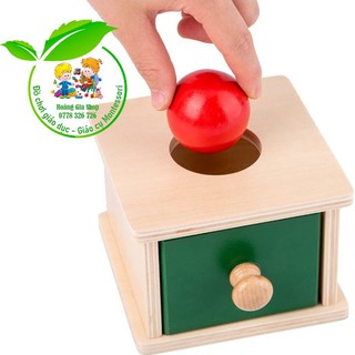 Thả bóng vào hộp có lỗ - Imbucare Box with Ball
