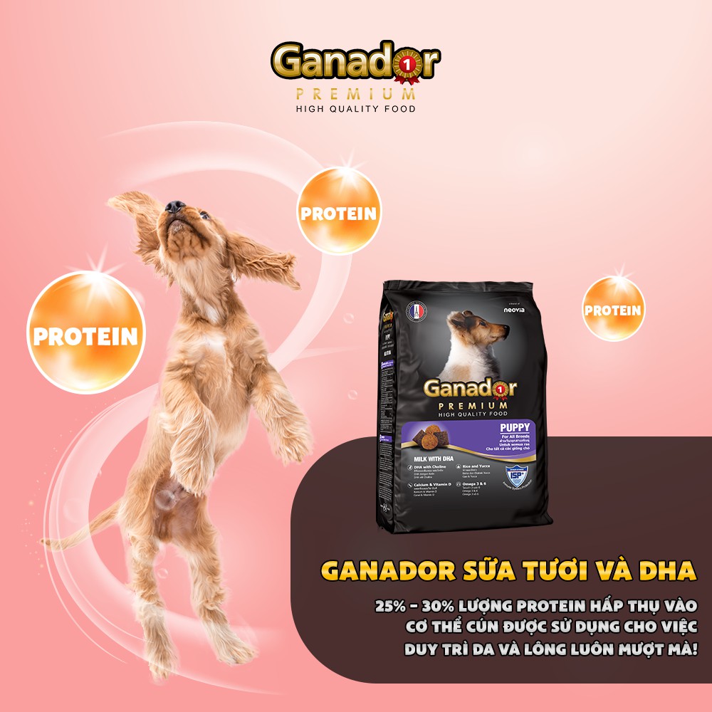 [Combo 5] Hạt Ganador Cho Chó Con Vị Sữa &amp; DHA 400g