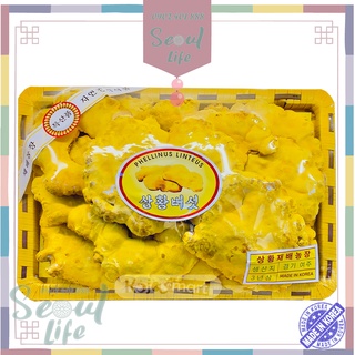 Nấm thượng hoàn – Nấm tiến vua – 500gr – [SEOUL LIFE – HÀNG HÀN CAO CẤP]