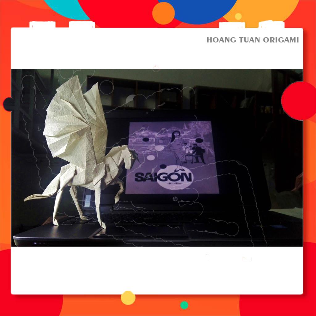 Origami Newbie Combo - Combo giấy gấp Origami cho người mới