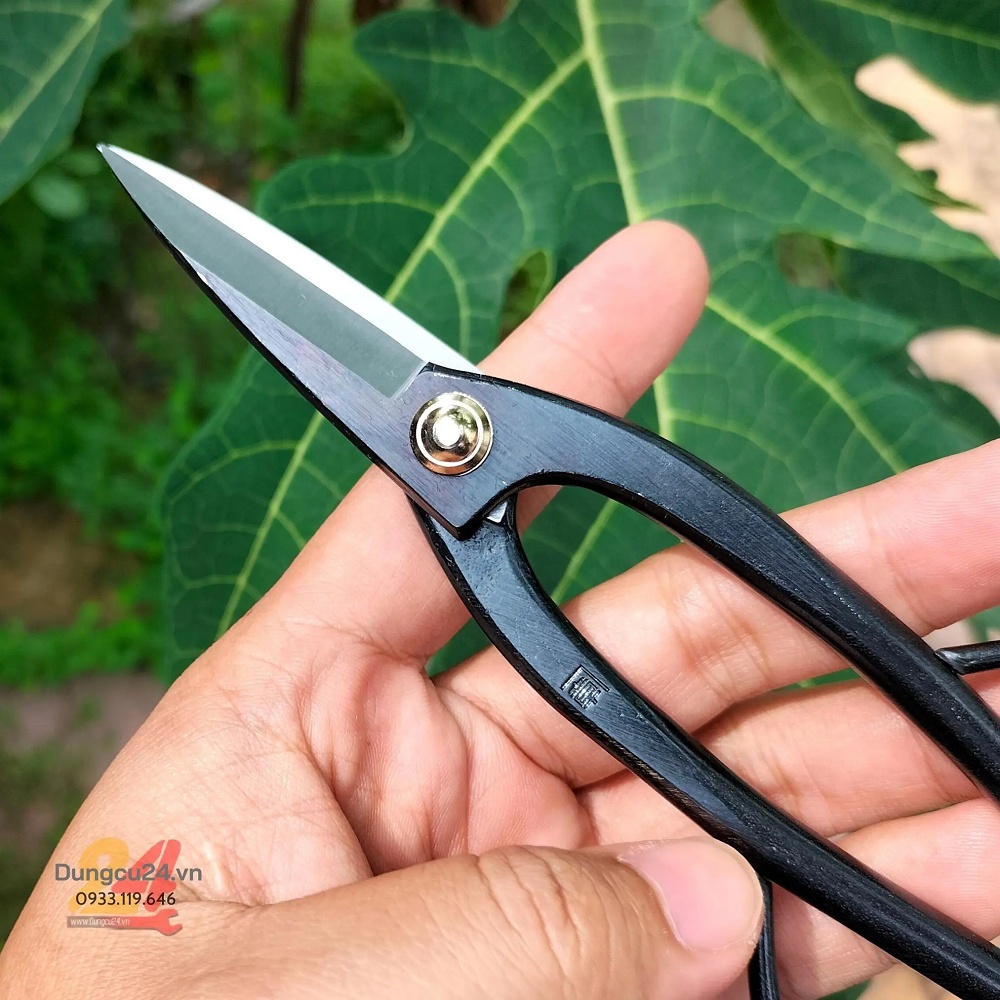 Kéo Nhật cắt tỉa cây kiểng bonsai mũi dài Mikisho