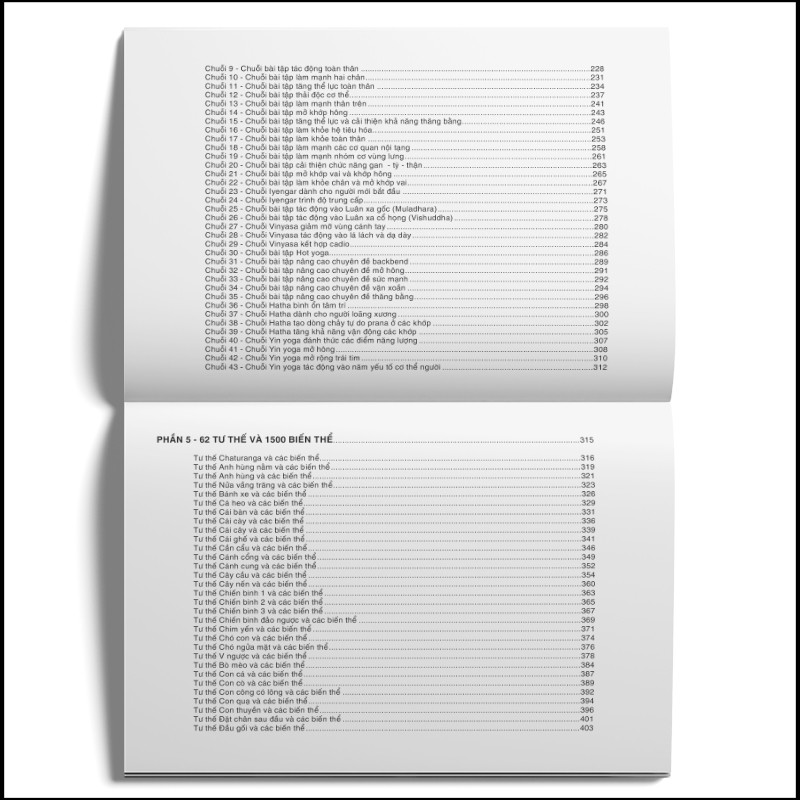 Sách - Hệ thống 1500 biến thể tư thế, 100 chuỗi bài Yoga liên hoàn