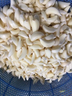 Combo Bò Khô cho khách