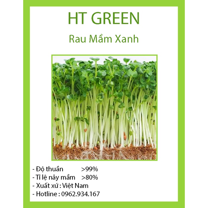 hạt giống rau mầm củ cải xanh TXBTD