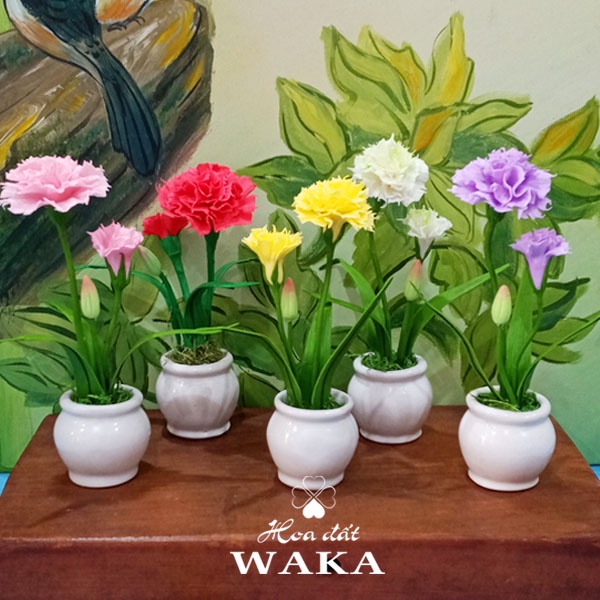 Hoa Đất Sét Mini - Cẩm Chướng Mini