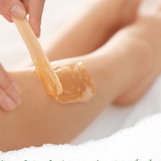 Que Gỗ Thông Quét Sáp Wax Lông