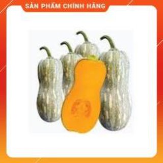 HẠT GIỐNG BÍ HẠT ĐẬU F1 GÓI 2 GRAM.
