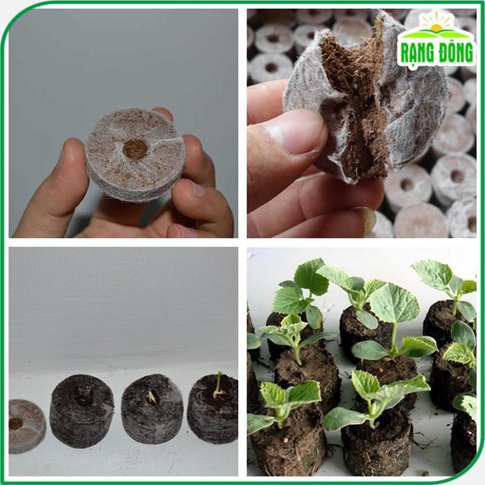 Viên nén xơ dừa ươm Hạt giống  viên nén sơ dừa tiện dụng, nảy mầm tốt hơn, sạch 100% - Hạt giống Rạng Đông