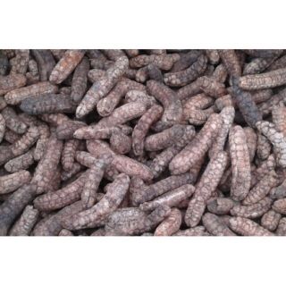 1kg chuối quả tây nguyên