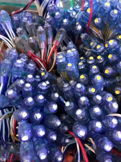 Led đúc F5 điện 12v