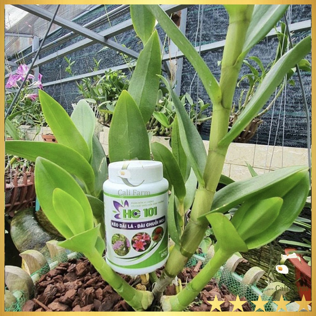 Phân Vi Lượng HC 101 Kéo dài lá, dài chuỗi hoa hũ 60g