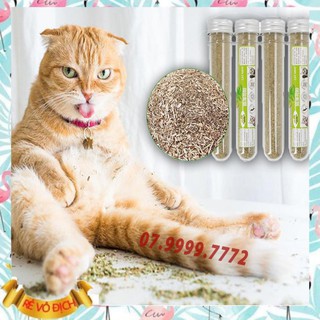 [FREESHIP - XẢ KHO] Cỏ mèo bạc hà Catnip ống 10g - Tạo Hưng Phấn Cho Boss, Hỗ Trợ Tiêu Hóa, Nôn Búi Lông - PK30