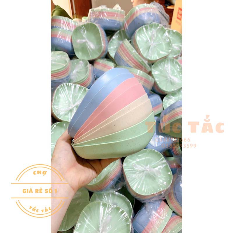 SET 8 CHIẾC ĐĨA LÚA MẠCH MẪU MỚI TONE MÀU PASTEL NGỌT NGÀO /COMBO 8C ĐĨA LÚA MẠCH - bán cả thế giới