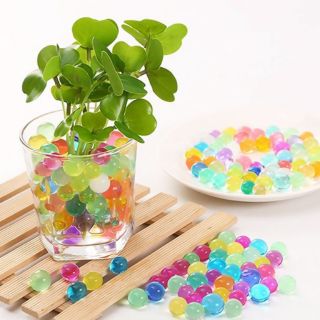 2 bịch Hạt ngậm nước dùng trồng cây thay đất