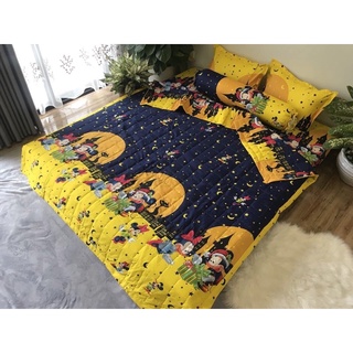 Set Chăn Ga Gối Cotton 3D Chăn Trần Bông