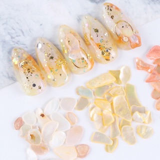 Bộ phụ kiện trang trí móng (sỏi, xà cừ,...)
