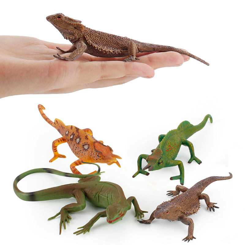 Mô hình kết hợp tắc kè hoa thằn lằn độc đáo