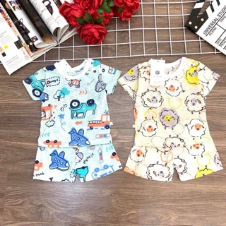 Combo 5 bộ cotton tre