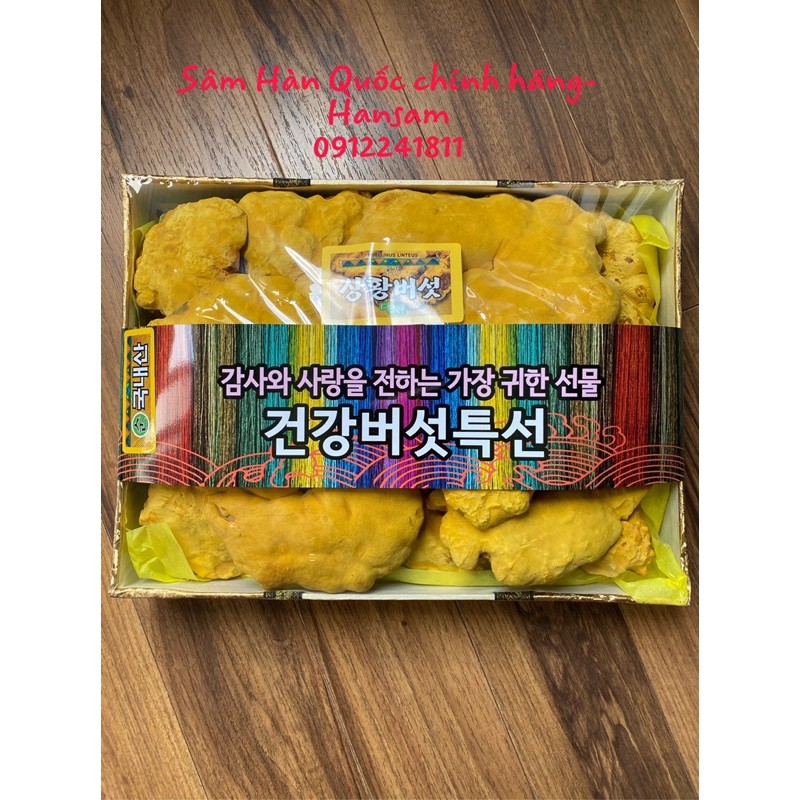 Nấm Thượng Hoàng Vàng Lá To Cao Cấp Hàn Quốc 500g/hộp