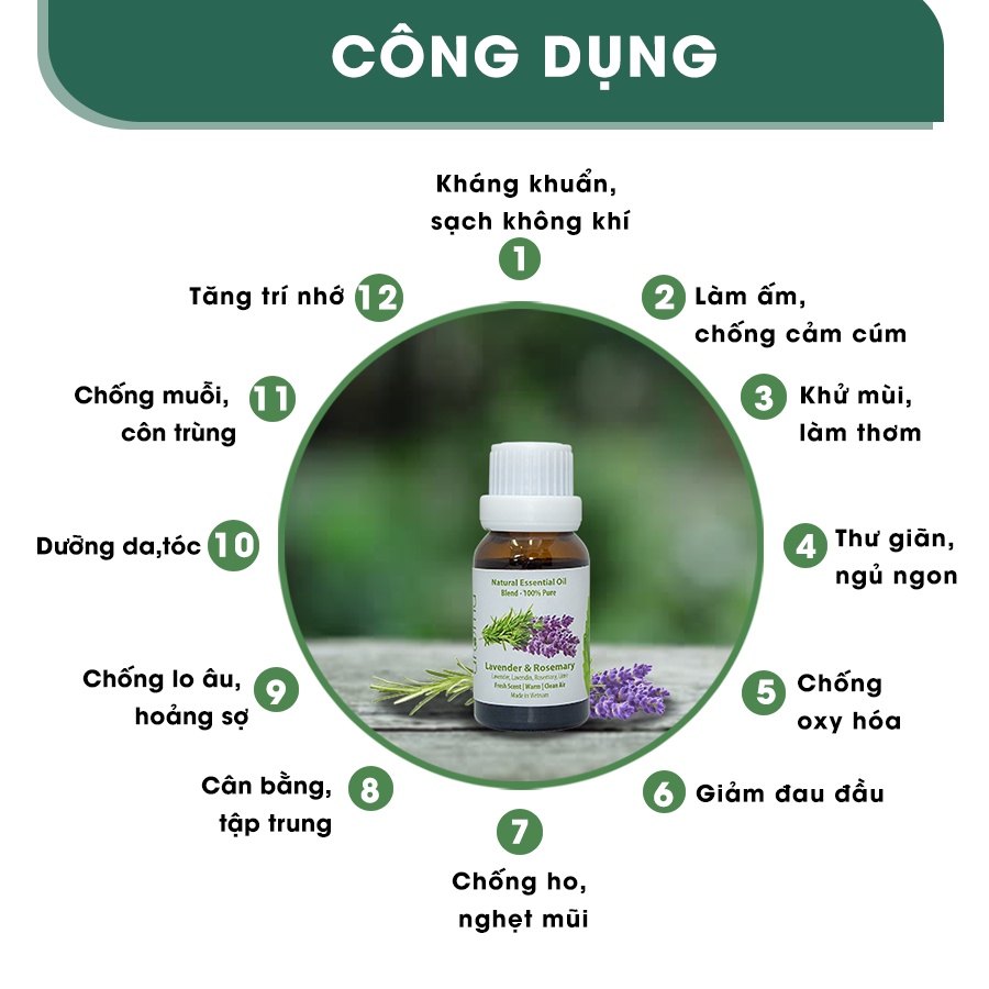 Tinh dầu Oải Hương Hương Thảo Aroma Lavender Bergamote Essential Oil 10ml