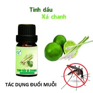 Tinh dầu sả chanh triết xuất 100% từ cây sả chanh đuổi muỗi