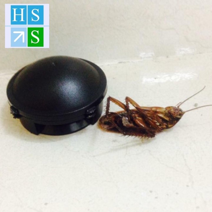 Hộp diệt gián Nhật Bản 12 viên không gây độc hại viên đuổi gián chỉ diệt dán  - HS shop Đắk Lắk