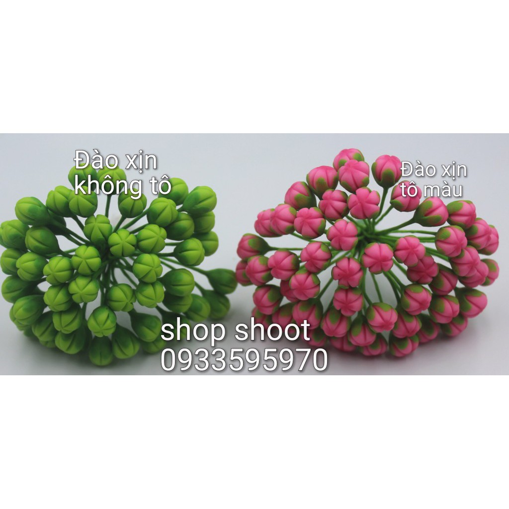 NỤ ĐÀO XỊN