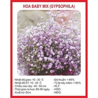 Hạt giống Hoa Baby Mix 100 Hạt hạt giống bốn mùa