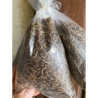 Sâu khô cho chim, hamster ăn 25g - sâu khô cho gà, trộn chung với cám - thức ăn chim, hamster