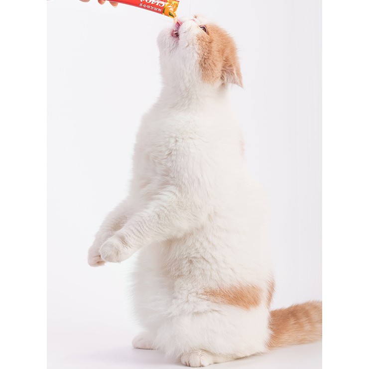 Súp Thưởng Ciao Túi 4 Gói 4*14gr Full 18 vị