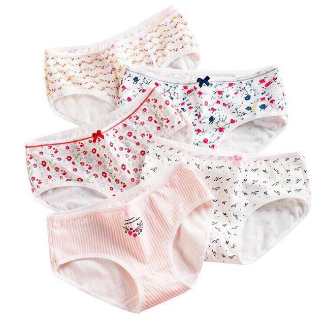 Set 5 quần lót cotton túi zip siêu đáng yêu