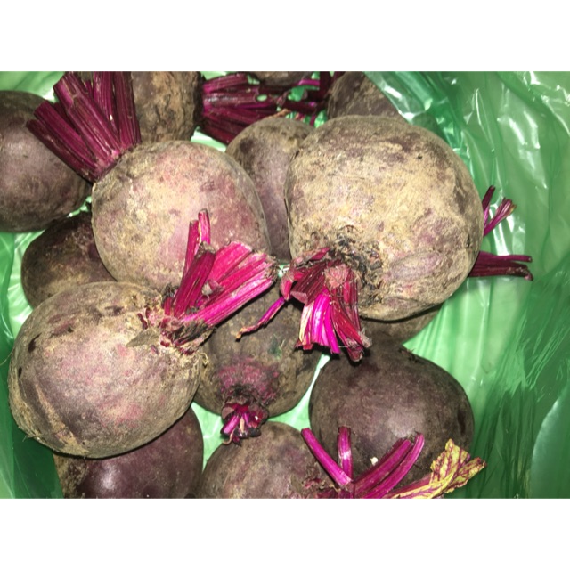 Củ dền đỏ !
