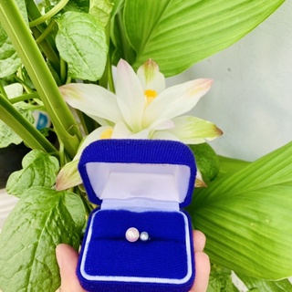 Nhẫn trai freesize Hàng  Si Nhật 2v