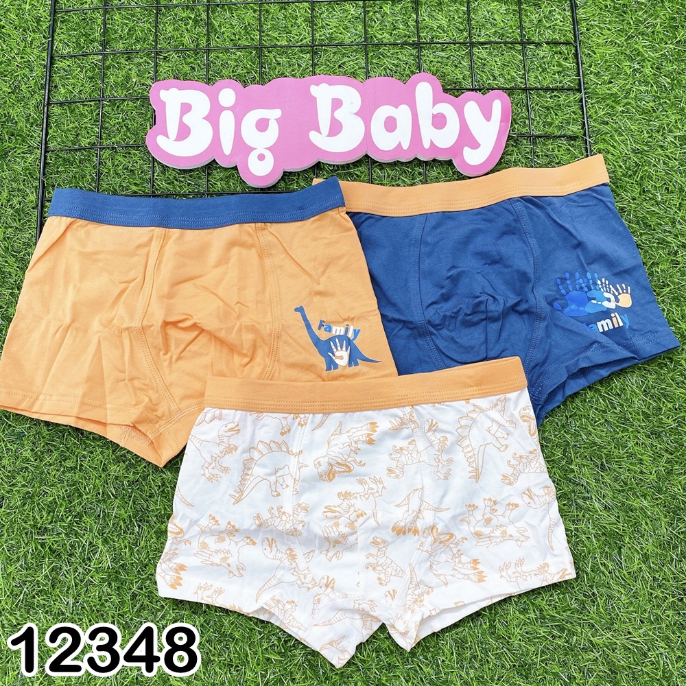 Set 3 quần chip đùi bé trai Bigbaby nhiều mẫu, thun cotton mềm thoải mái cho bé 16-38KG